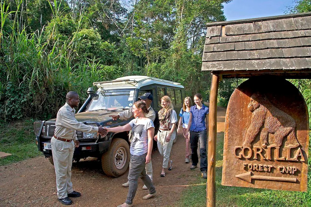 ****  Sanctuary Gorilla Forest Camp Hotel Ntungamo  Uganda