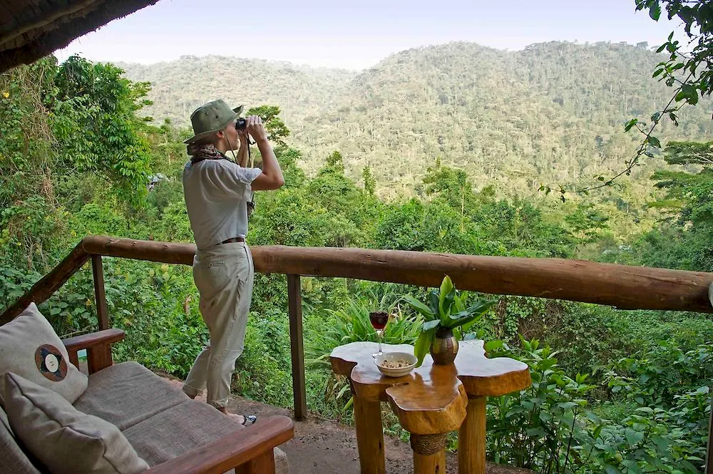 Sanctuary Gorilla Forest Camp Hotel Ntungamo  Ntungamo (Ruhaama)